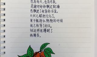 现代诗四年级摘抄 现代诗四年级摘抄