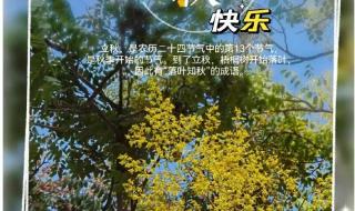 2023年立秋的具体时间 2023年立秋的具体时间
